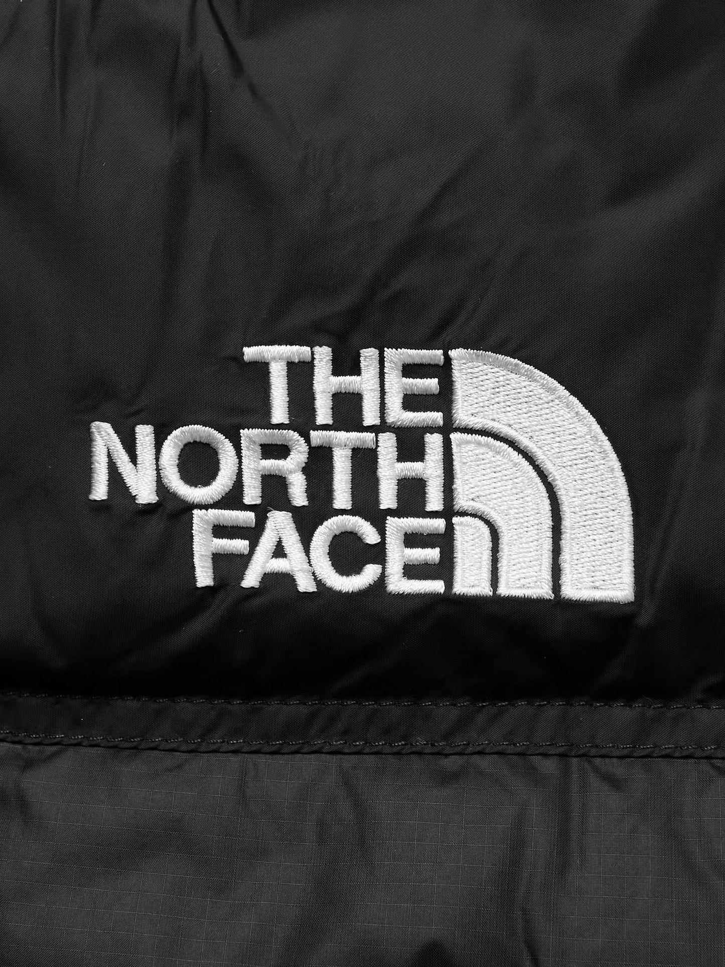 The Northface Youth 1996 2024